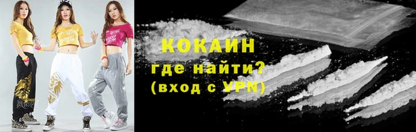ешки Осинники