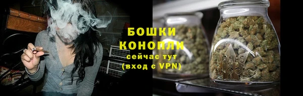 ГАЛЛЮЦИНОГЕННЫЕ ГРИБЫ Остров