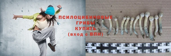 ГАЛЛЮЦИНОГЕННЫЕ ГРИБЫ Остров