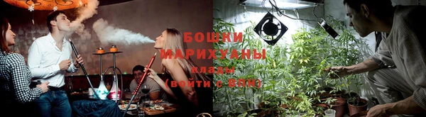 ешки Осинники
