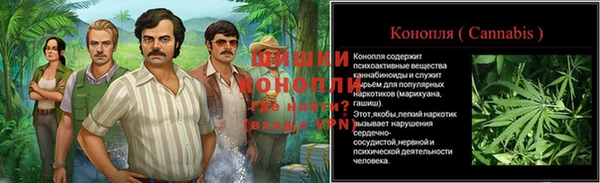 ГАЛЛЮЦИНОГЕННЫЕ ГРИБЫ Остров