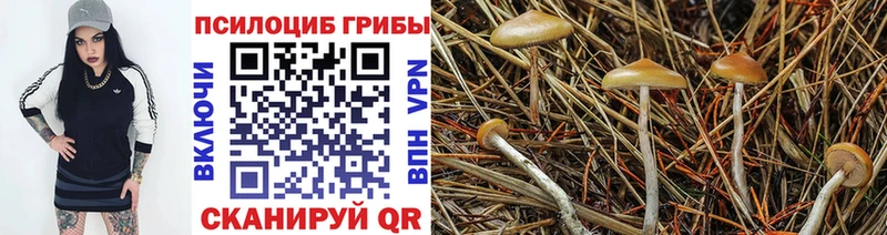 Галлюциногенные грибы GOLDEN TEACHER наркота MEGA вход Лебедянь