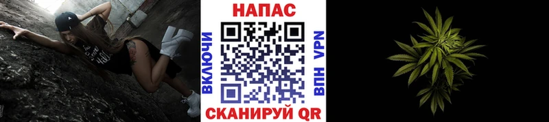 Бошки Шишки семена  где купить наркоту  Лебедянь 